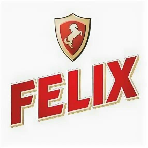 FELIX