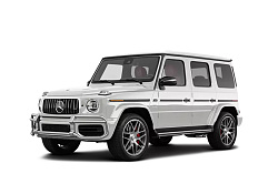 Mercedes-Benz G-Class 350 GD TD 3.5 (OM603.972)